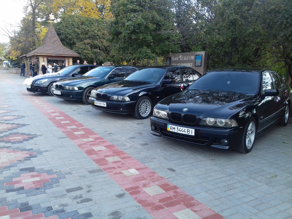 Возимо весілля. 2
