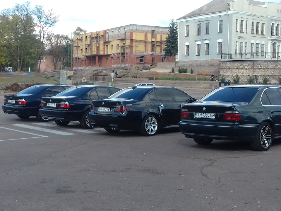 Возимо весілля. 5