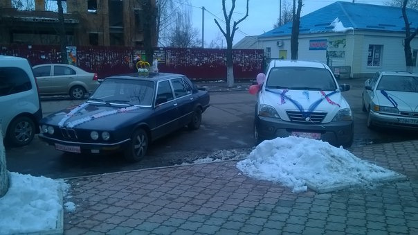 я і моя акула 2