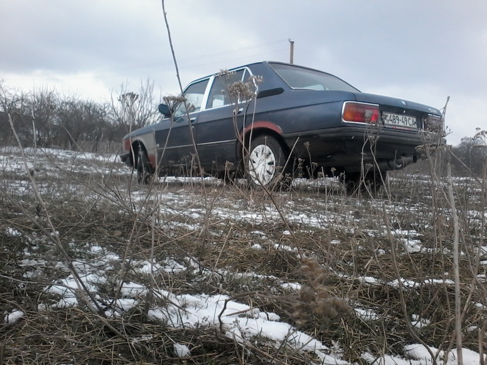 весняні покотушки 4