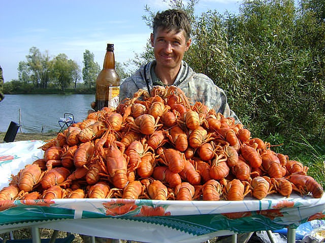 Вихідні на о.Світязь 1