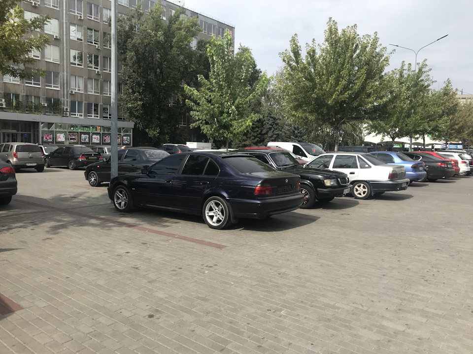 Ну ось і продав беху(( 1