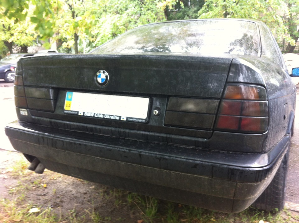 Rear Hella Black 5