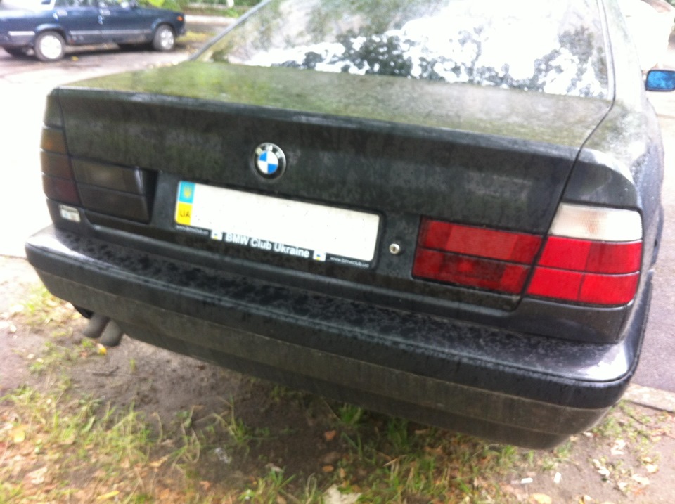 Rear Hella Black 4