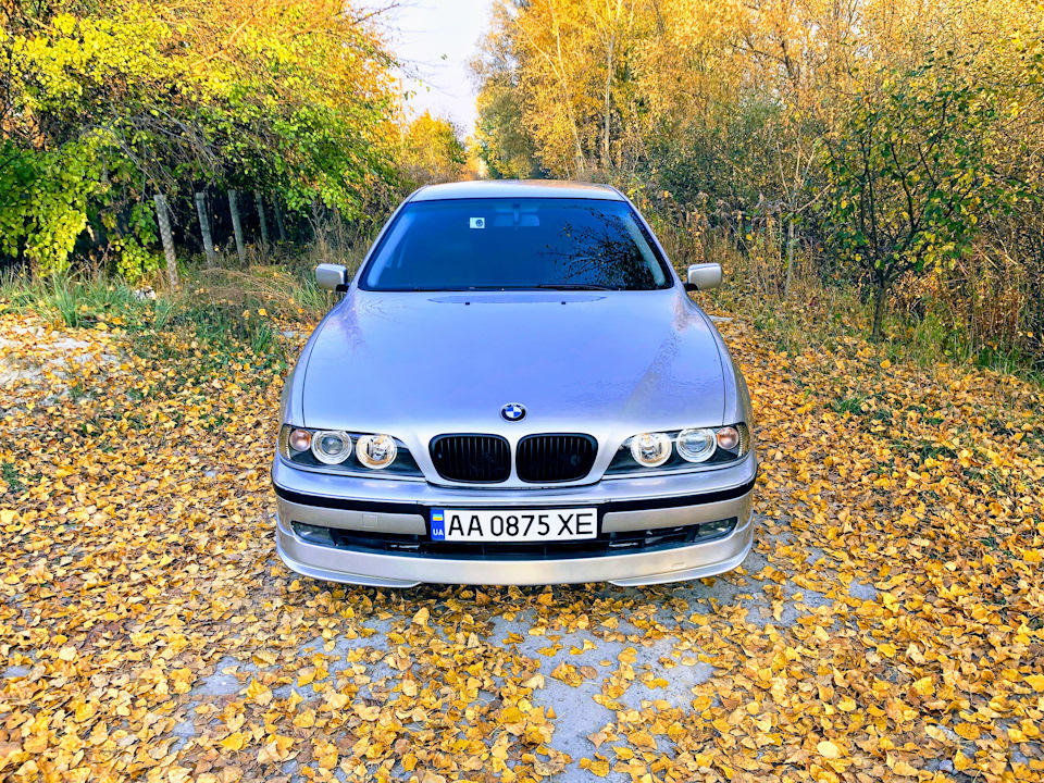 Осінній фотосет 2