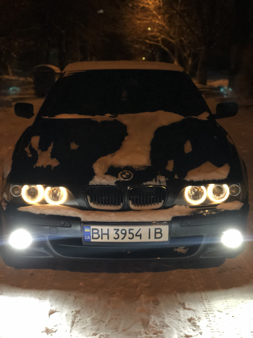 Перший нормальний сніг ❄️ 1