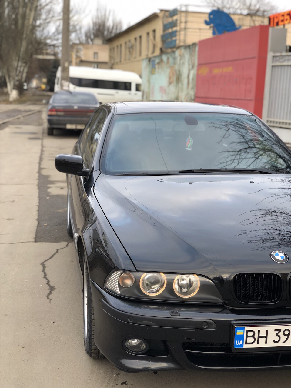 Свіже фото 2