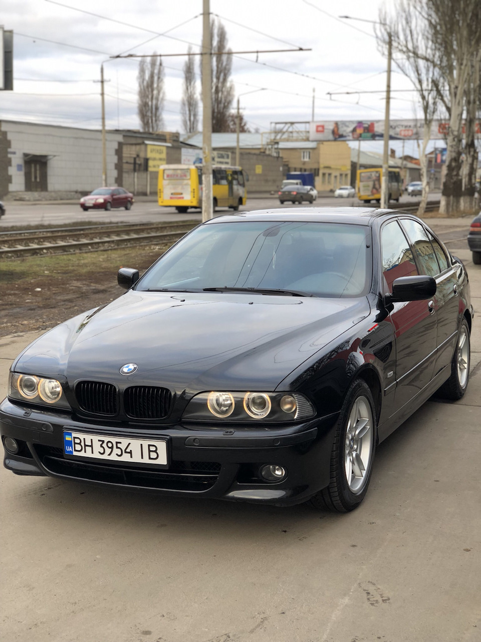 Свіже фото 3