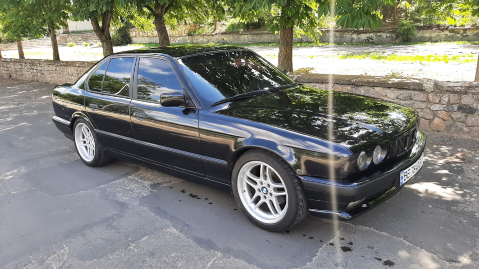 Дисули 37 стиль 5