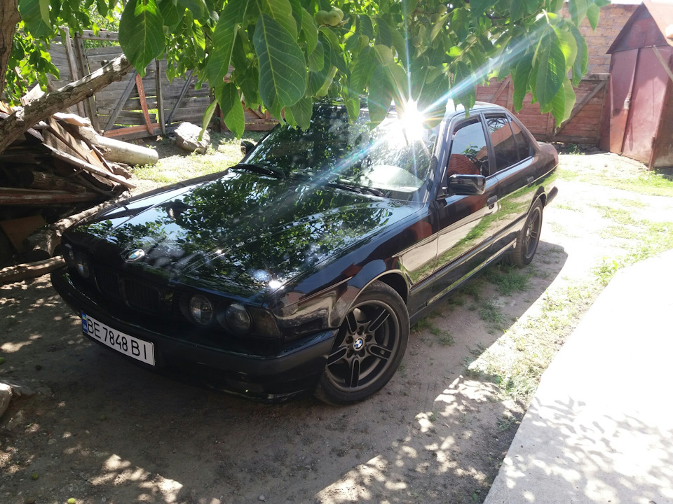 Килимки * 5