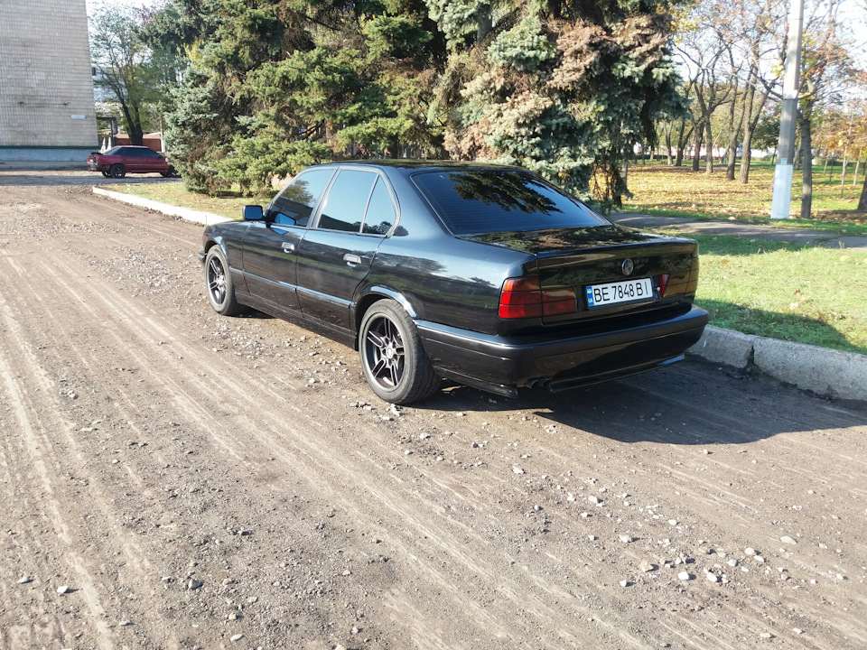 М губа * 4