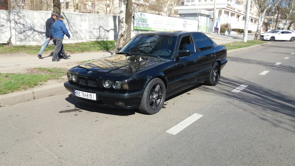 Моєчка* 2