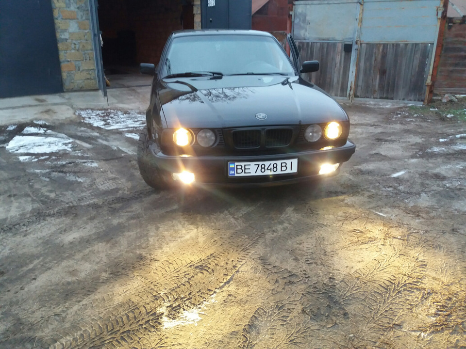 Туманки* 1