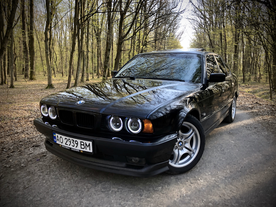 Парочка лісових фото) 5