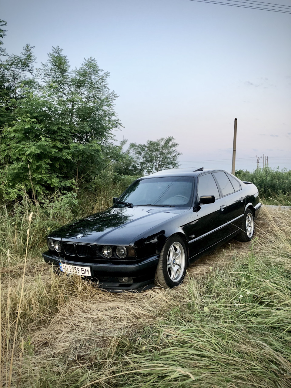 Результати виборів) 2