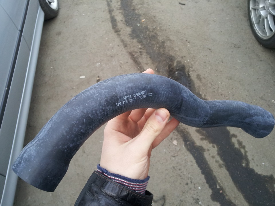 нежданчик! 4