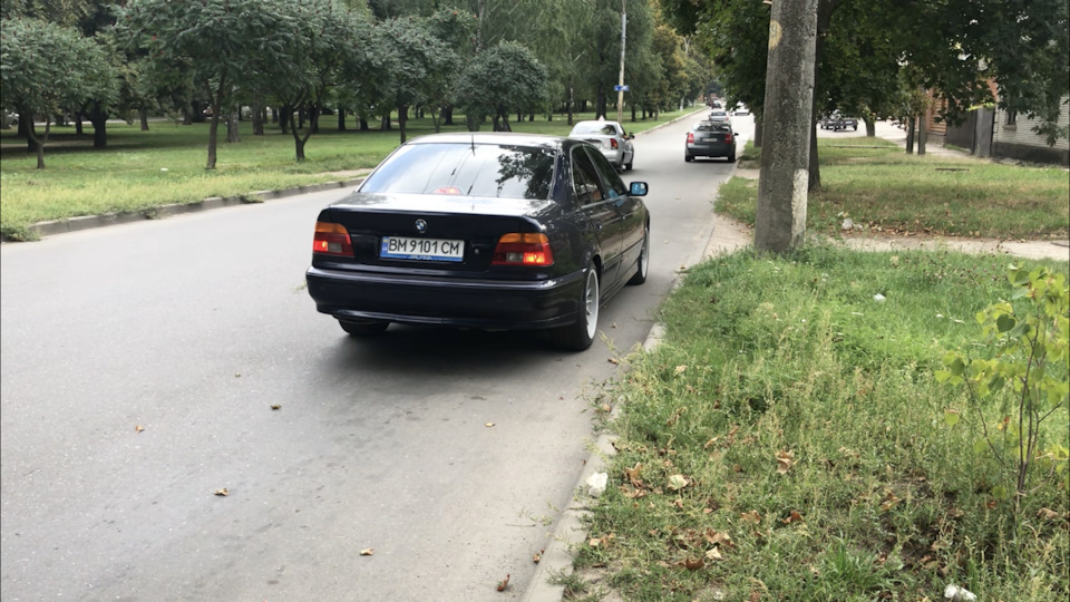 Продана 1