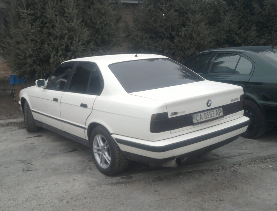 задня хелла блек 2