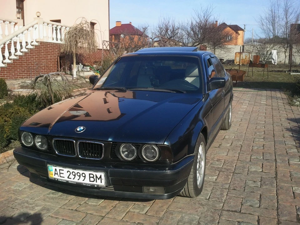 ПИТАННЯ З МОРДОЮ ВИРІШЕНО !)))))
