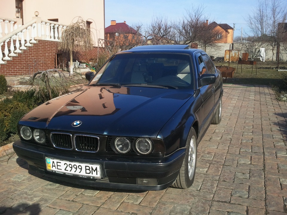 ПИТАННЯ З МОРДОЮ ВИРІШЕНО !))))) 1