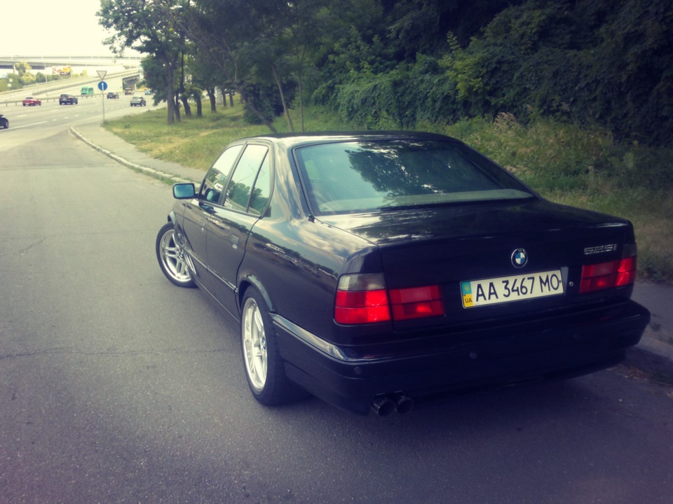 Трохи Hamann Motorsport 1