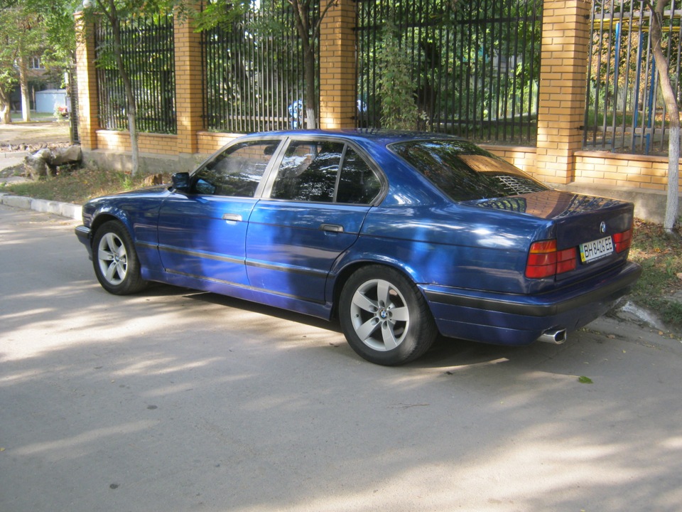 Помив синюгу…) 4
