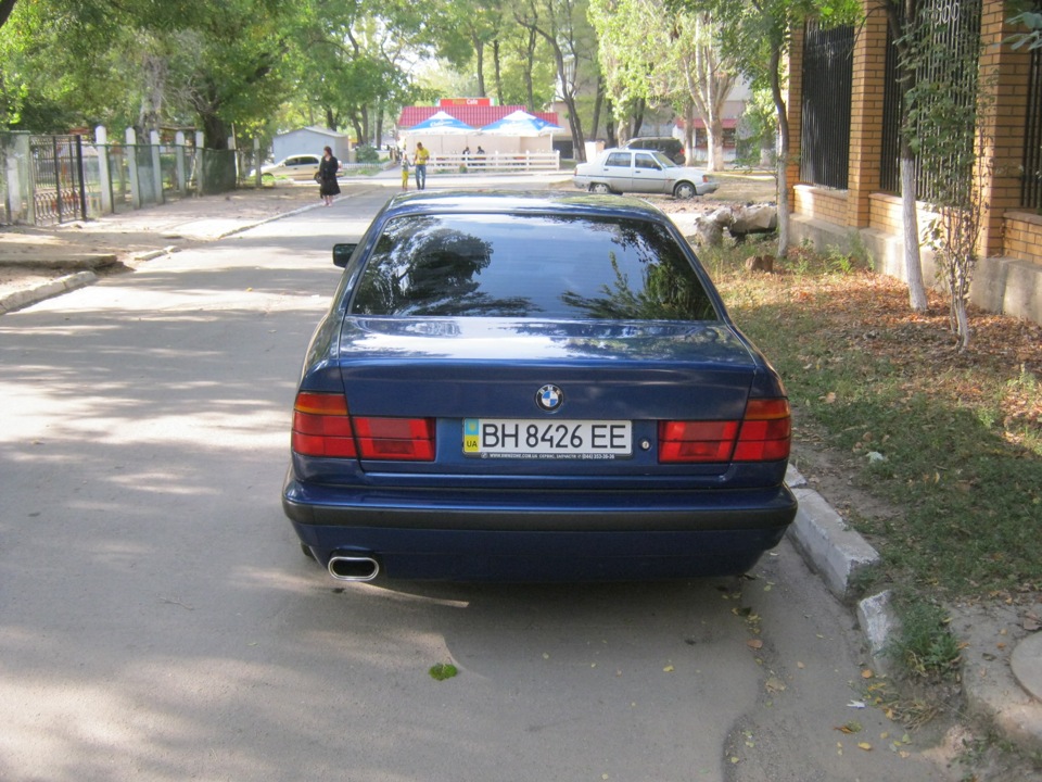Помив синюгу…) 5