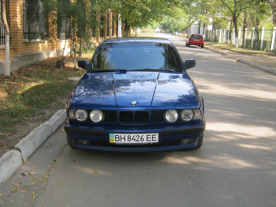 Помив синюгу…) 2