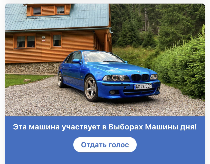 Друзі! Ми на виборах! 1
