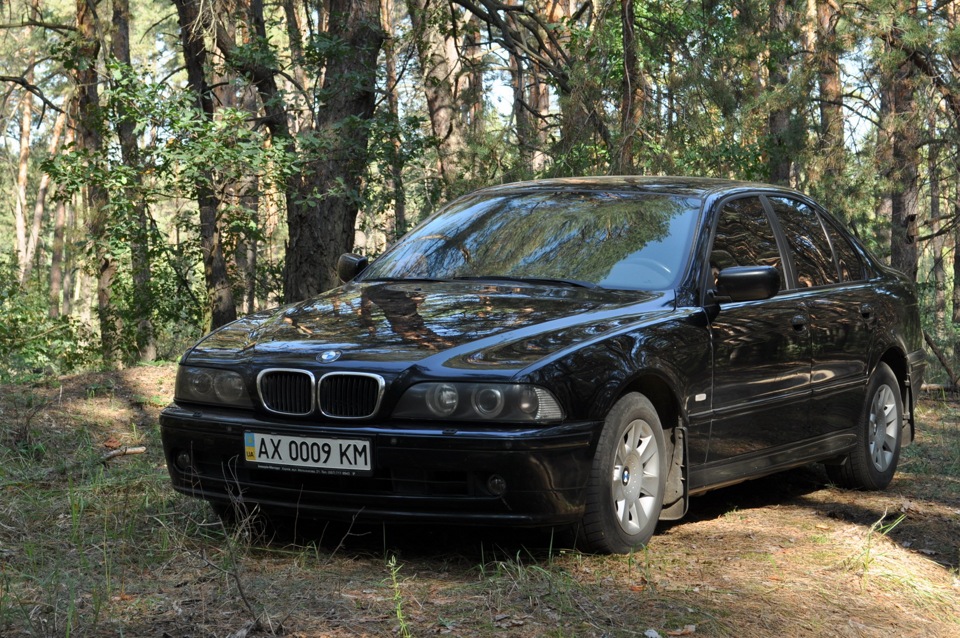 За грибами 4