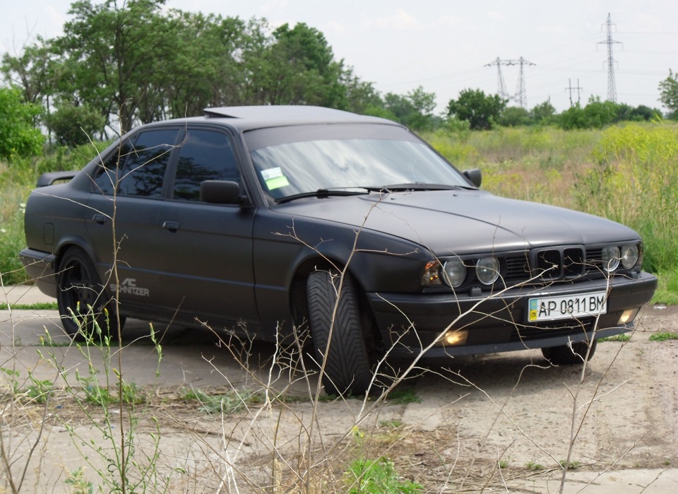 Нові фотографії 4
