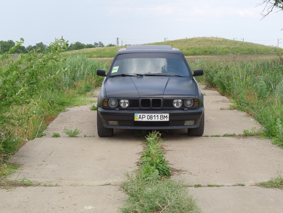 Нові фотографії 2