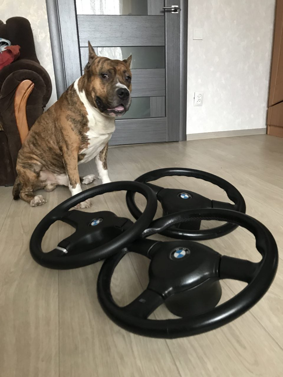 Колекція M technic 1. M technic 2. 4