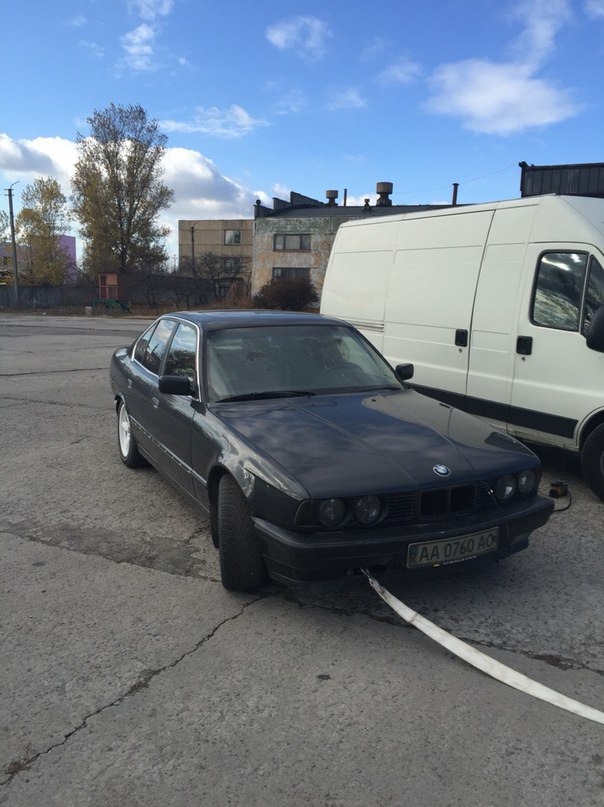 тарган 3