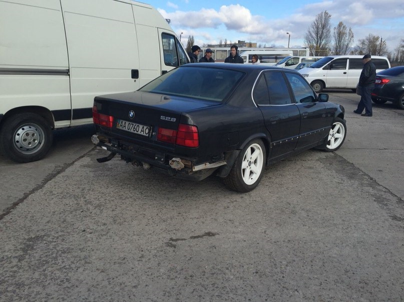 тарган 5