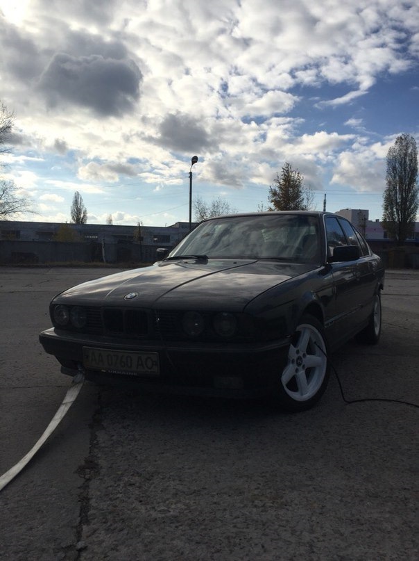 тарган 1