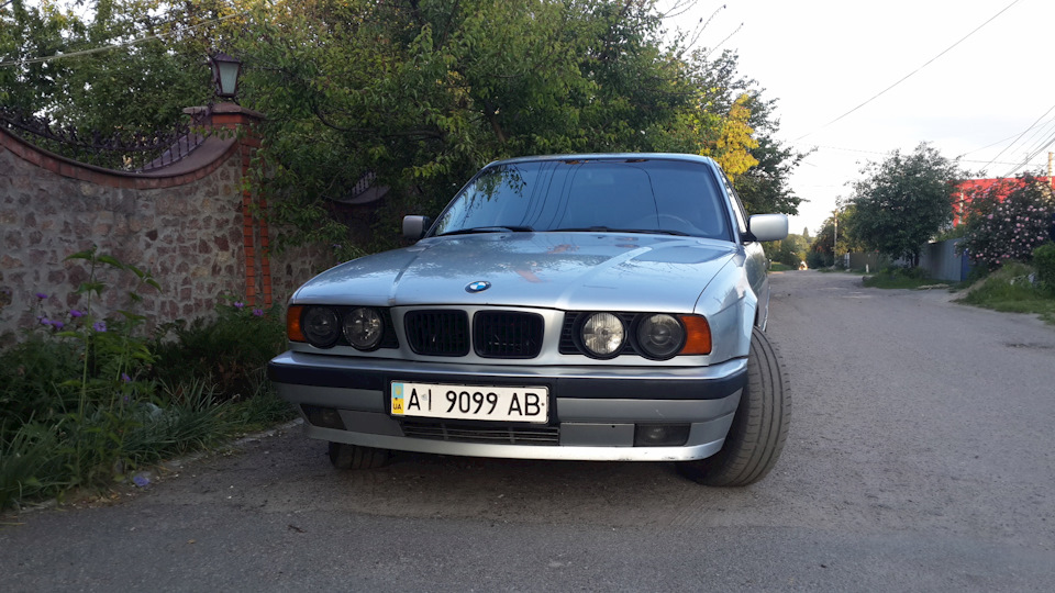 Руді повороти, або що робить собака коли їй нема чого робити)) 1