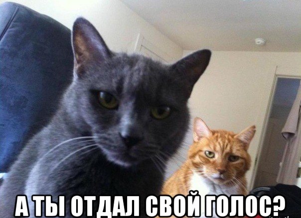 3-е місце, чудово! 3