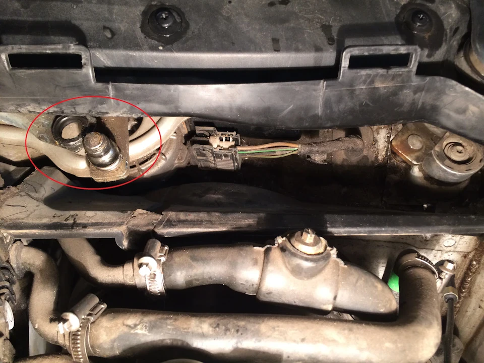 Двірник став