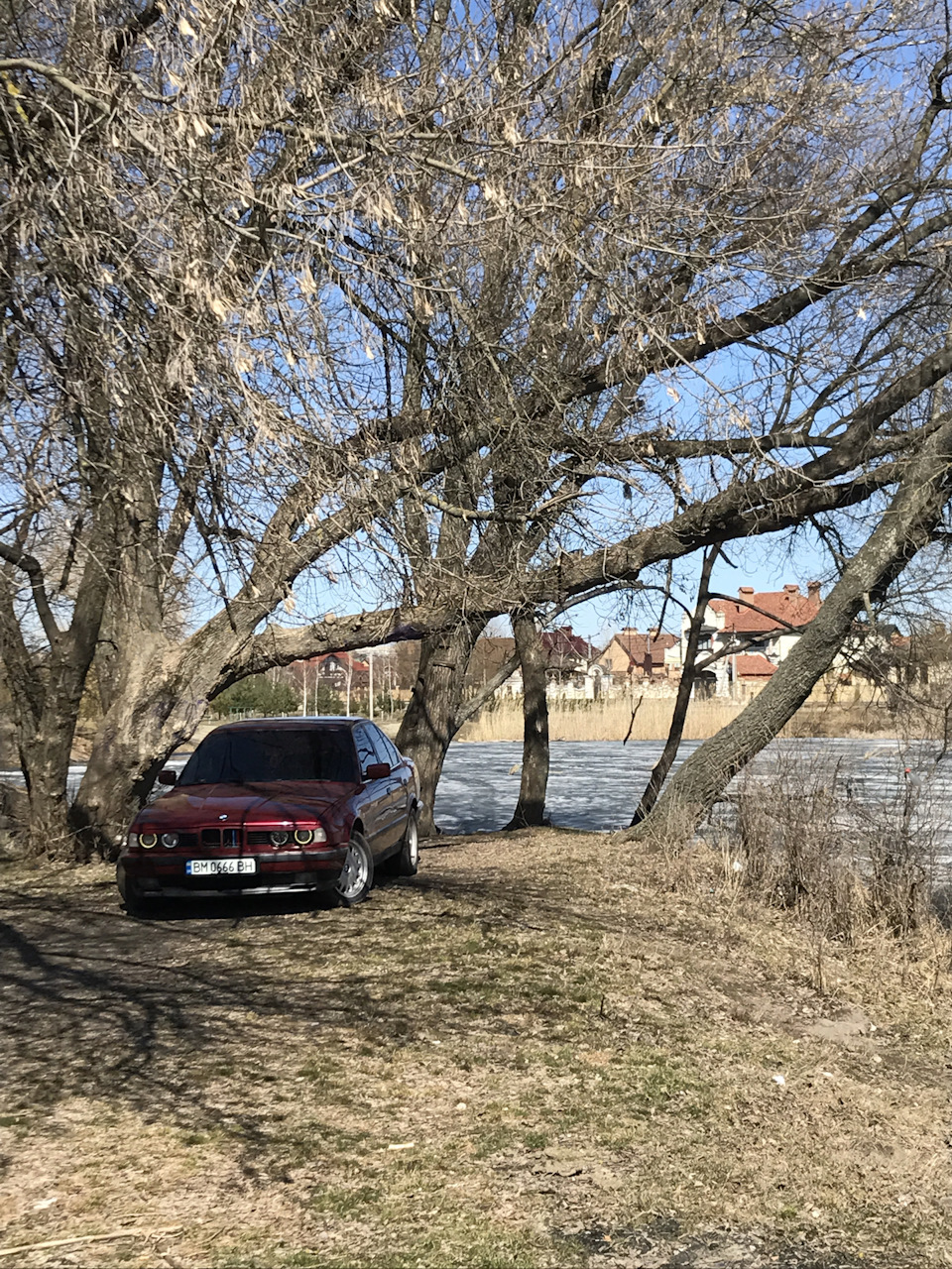 Всіх зі святом, природа, фото. 4