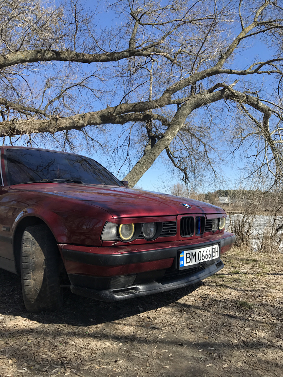 Всіх зі святом, природа, фото. 5