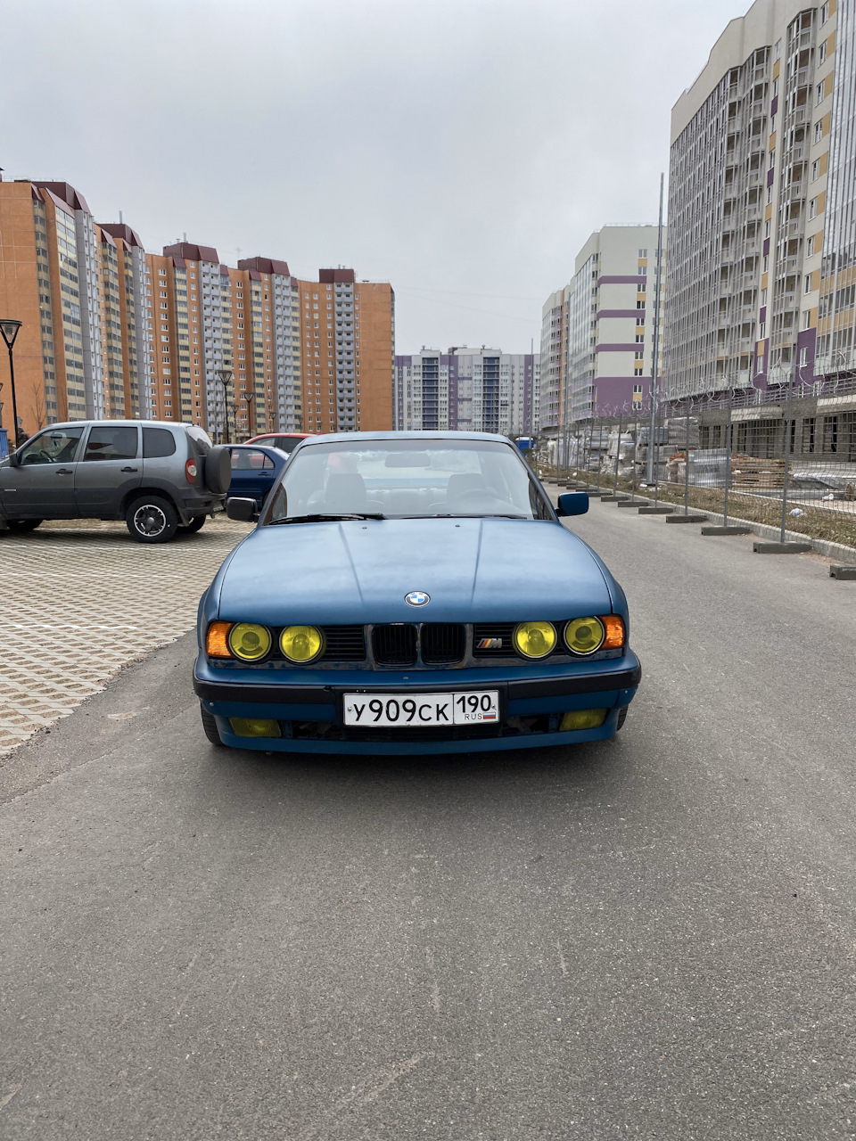 Покупка та приїзд додому 2