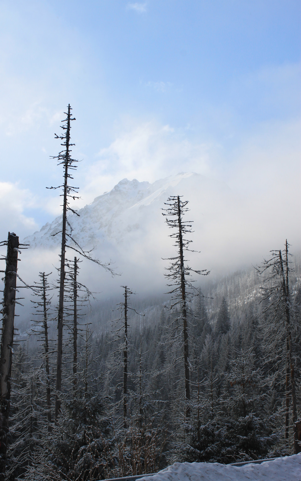 Поїздка до Zakopane (Polska) 5