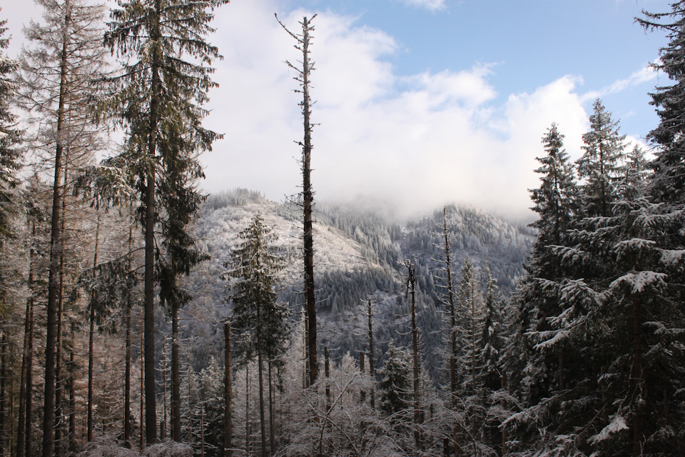 Поїздка до Zakopane (Polska) 2