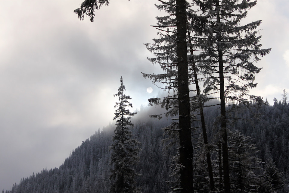 Поїздка до Zakopane (Polska) 4