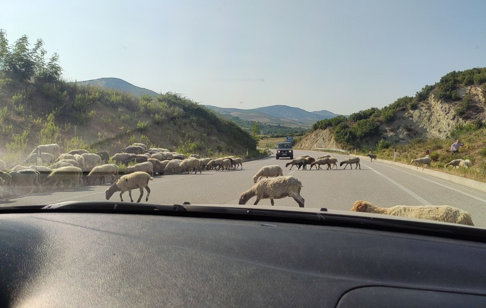 Поїздка > Угорщина > Сербія > Македонія > Греція — Кефалонія > Албанія > Чорногорія. Частина 3. (пороми, поломки, ремонт ) 3