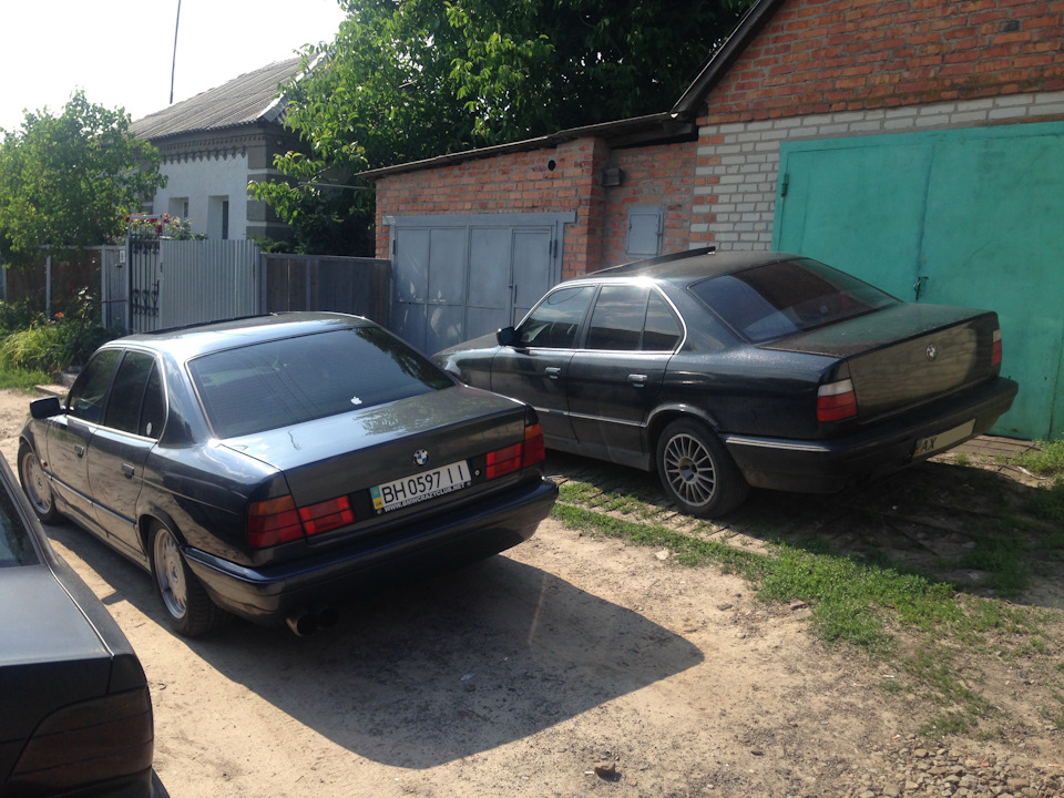 Одна модель, різна доля... 3