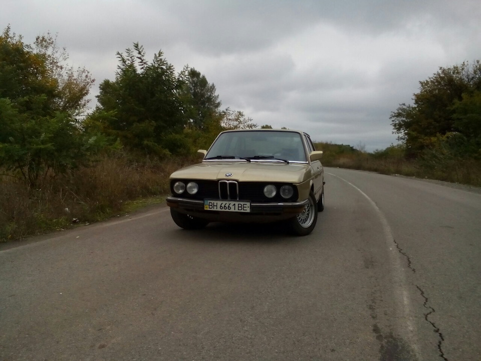Вигул 4