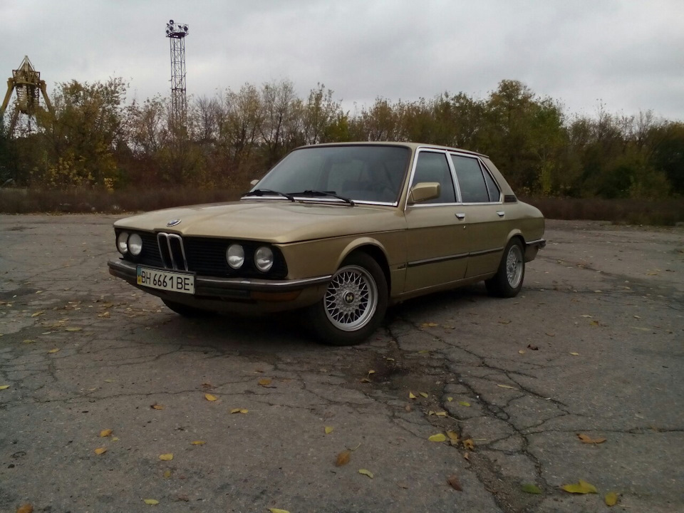 Вигул 1
