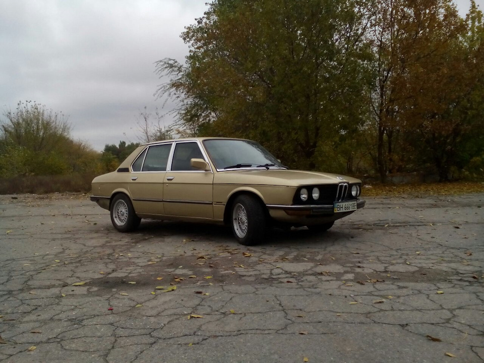 Вигул 3